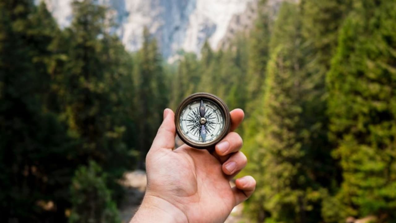 Guide to Investing in Stocks: Strategies and Tips
