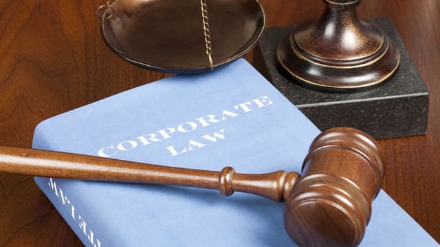 What Are the Rights of a Shareholder and What Is Their Role?