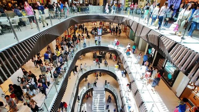 How Are the Stock Market and Economy Related?