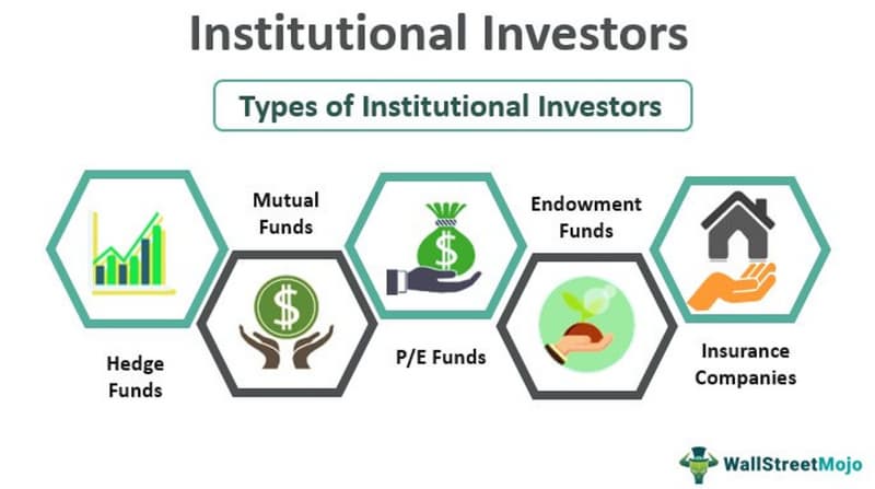 What is an Institutional Investor?